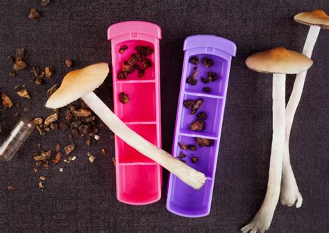 Psychedelic therapy and the use of black magic mushrooms in treating addiction